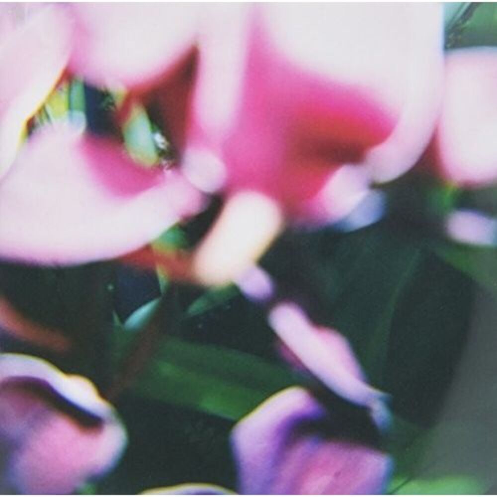 Trade Wind - You Make Everything Disappear  CD